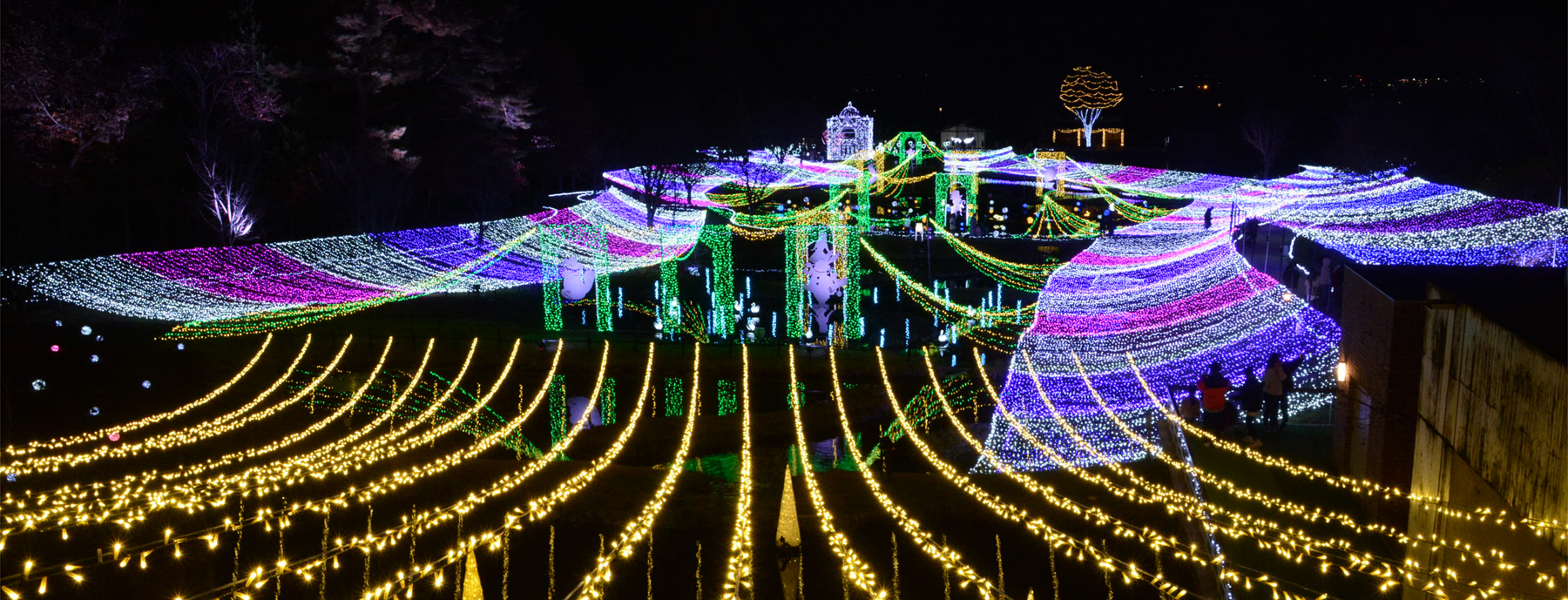 11/2～2025/1/13　あづみの公園(堀金・穂高地区)イルミネーション開催中！